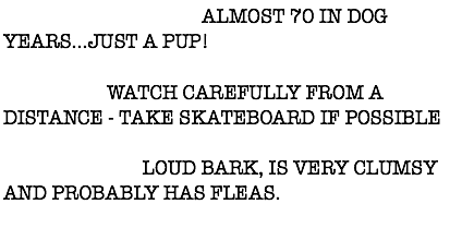 DESCRIPTION: ALMOST 70 IN DOG YEARS...JUST A PUP! ACTION: WATCH CAREFULLY FROM A DISTANCE - TAKE SKATEBOARD IF POSSIBLE WARNING: LOUD BARK, IS VERY CLUMSY AND PROBABLY HAS FLEAS. 
