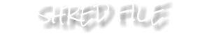 SHRED FILE