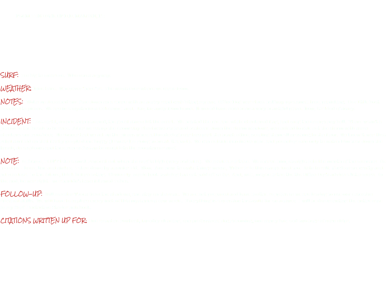 &nbsp;FROM THE DESK OF D.D. MALONE, PI: SURF: Too big to measure. Who cares anyway. WEATHER: Nice here. Wherever "here" is. The worst ever where we came from. NOTES: Woke up drenched and face down on a shore with an angry sand crab biting my ear. Office Dog was stuck halfway up a small tree, panicking. Our little boat smashed to pieces. We are in a mysterious Unknown Land. Far, far away from home. It would have once been a very beautiful place. Now, it's kind of scary. INCIDENT: Last night, sooner than planned, the great storm hit the coast. We hoisted the red and white checkered flag, and rang the emergency bell. There wasn't a person in the beach to be seen. After we set up the doomsday shortwave radio and battened down the storm windows, we decided to ride out the storm with some checkers and root beer. No sooner had we set up the pieces when a thundering roar tore past the beach office, sending them all crashing to the floor. We knew it was that rebel surf kid on that flashy purple dune buggy (I swear I'm going to break it apart). We ran outside into fierce wind and pounding rain only to watch him tear down the beach, do a spinout and then run as fast as he could into the monsterous surf. NOTE: In future, DON'T take a small rowboat out when the surf is high (very bad idea). We made a mistake. We chased him, straight into the mouth of the monster. He lured us - hook, line and sinker. Taken down by a surfer kid. Wow. And now to make things worse, Tubes is in this stange land too. Note to self: Surfers are crafty and nd reckless. In the future, think before acting. Obviously comic book training has not paid off so far. And, well, maybe listen the the Office Dog's advice a little more. In the end, he was right - we shouldn't have followed Tubes. FOLLOW-UP: Will monitor Tubes from the shadows, and stay on the case. We are not prepared and have limited supplies so we are having to use our detective survival skills. We will have to explore every inch of this mysterious new world. Everything is a question that calls for an answer. I will be documenting the entire case in my Surf Dectective Stories notebook. CITATIONS WRITTEN UP FOR: One smashed rowboat, laundry cleaning, one professional dog grooming, one candy bar, and two bags of corn chips. 
